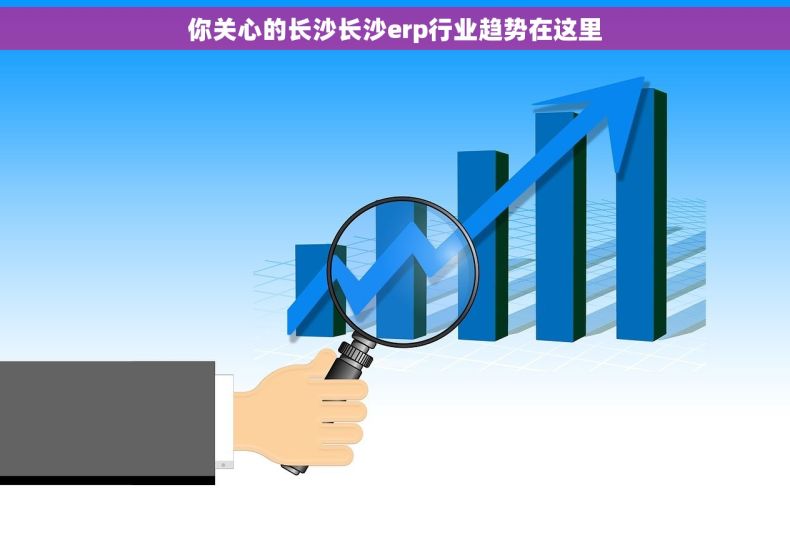 你关心的长沙长沙erp行业趋势在这里