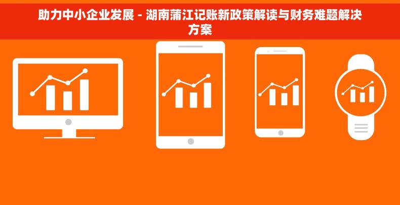 助力中小企业发展 - 湖南蒲江记账新政策解读与财务难题解决方案