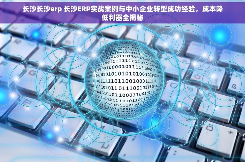 长沙长沙erp 长沙ERP实战案例与中小企业转型成功经验，成本降低利器全揭秘