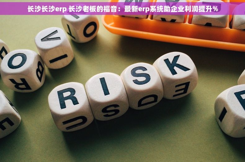 长沙长沙erp 长沙老板的福音：最新erp系统助企业利润提升%