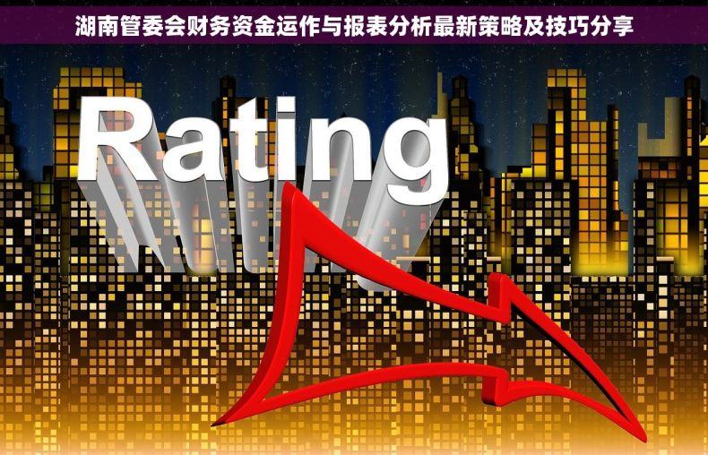 湖南管委会财务资金运作与报表分析最新策略及技巧分享