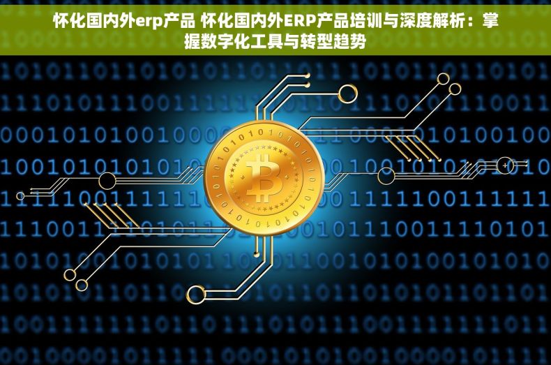 怀化国内外erp产品 怀化国内外ERP产品培训与深度解析：掌握数字化工具与转型趋势