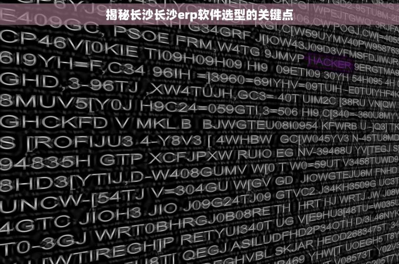揭秘长沙长沙erp软件选型的关键点