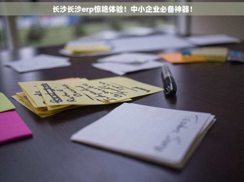 长沙长沙erp惊艳体验！中小企业必备神器！
