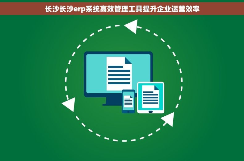 长沙长沙erp系统高效管理工具提升企业运营效率