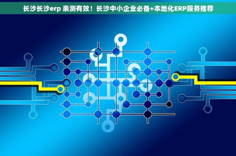 长沙长沙erp 亲测有效！长沙中小企业必备+本地化ERP服务推荐