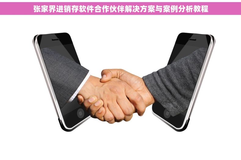 张家界进销存软件合作伙伴解决方案与案例分析教程