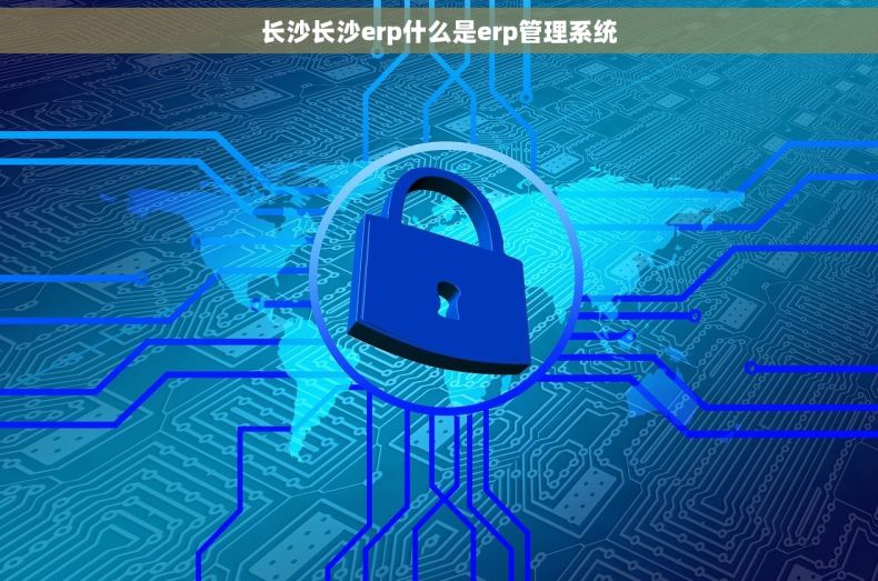 长沙长沙erp什么是erp管理系统