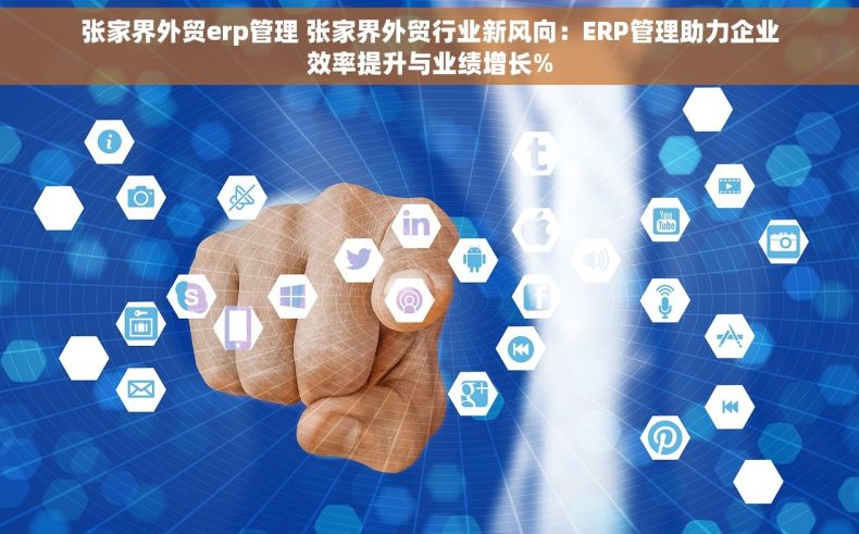 张家界外贸erp管理 张家界外贸行业新风向：ERP管理助力企业效率提升与业绩增长%