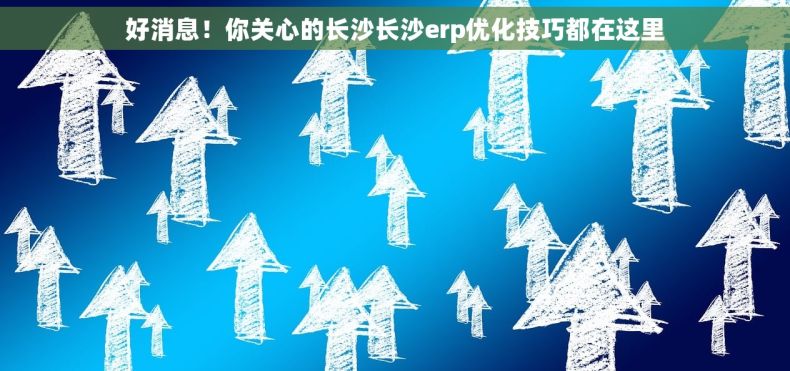 好消息！你关心的长沙长沙erp优化技巧都在这里