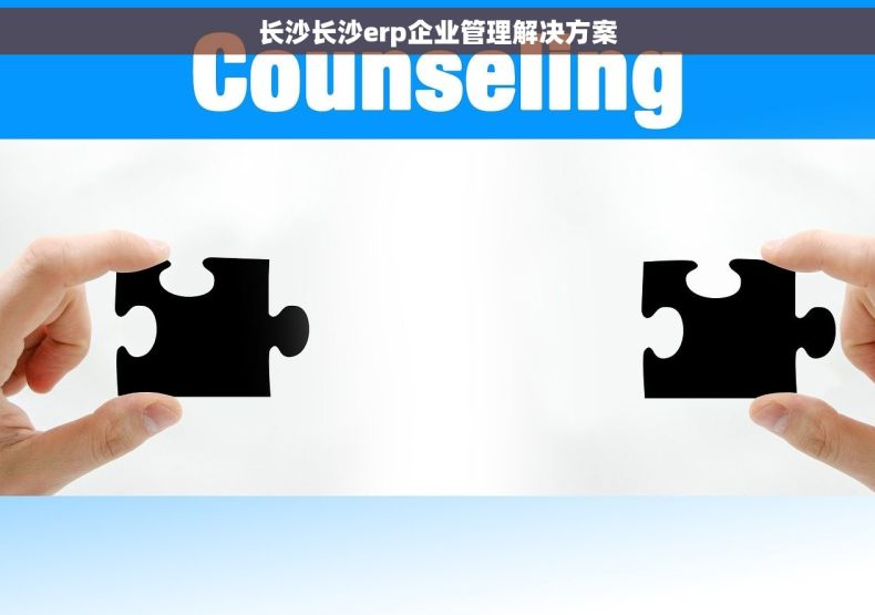 长沙长沙erp企业管理解决方案