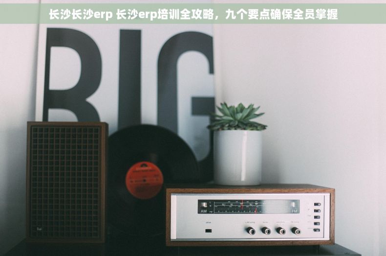 长沙长沙erp 长沙erp培训全攻略，九个要点确保全员掌握