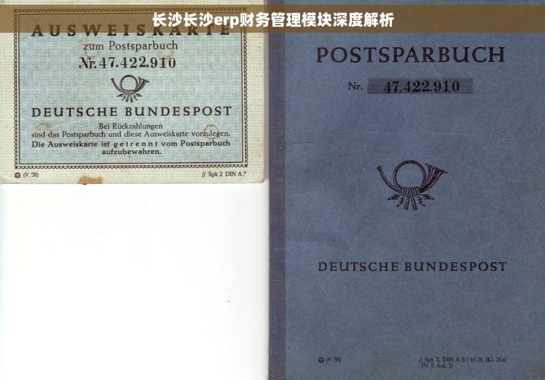 长沙长沙erp财务管理模块深度解析