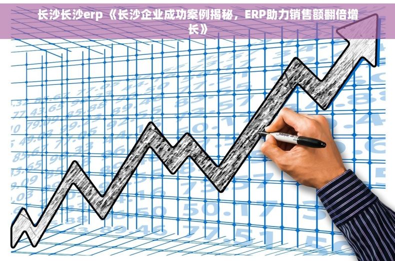 长沙长沙erp 《长沙企业成功案例揭秘，ERP助力销售额翻倍增长》