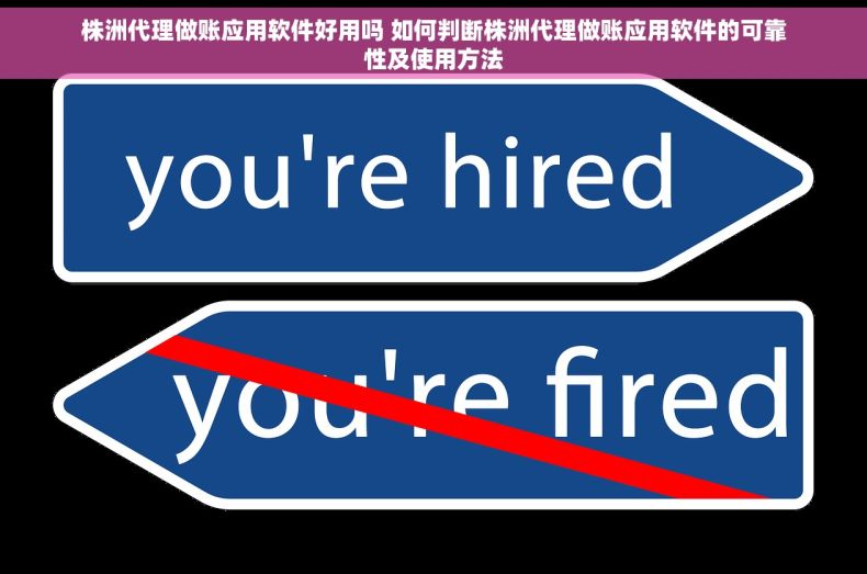 株洲代理做账应用软件好用吗 如何判断株洲代理做账应用软件的可靠性及使用方法