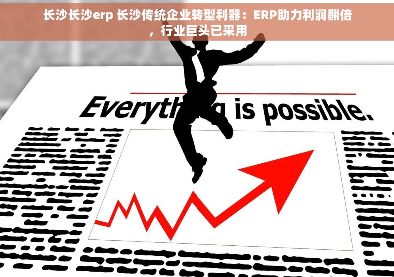 长沙长沙erp 长沙传统企业转型利器：ERP助力利润翻倍，行业巨头已采用