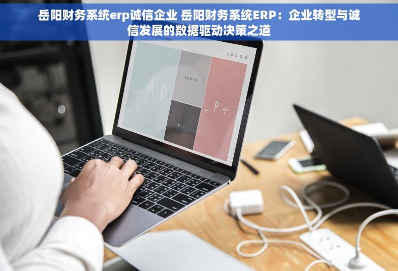 岳阳财务系统erp诚信企业 岳阳财务系统ERP：企业转型与诚信发展的数据驱动决策之道