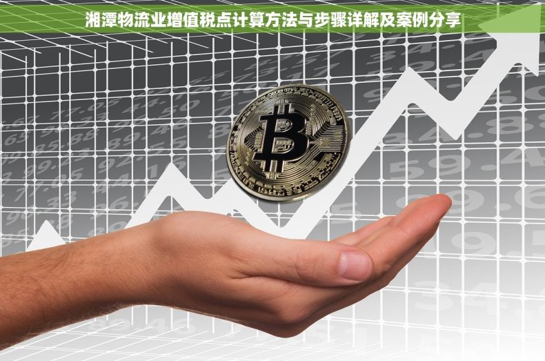 湘潭物流业增值税点计算方法与步骤详解及案例分享