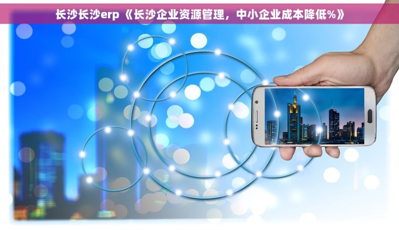 长沙长沙erp 《长沙企业资源管理，中小企业成本降低%》