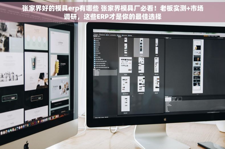 张家界好的模具erp有哪些 张家界模具厂必看！老板实测+市场调研，这些ERP才是你的最佳选择
