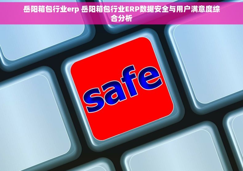 岳阳箱包行业erp 岳阳箱包行业ERP数据安全与用户满意度综合分析
