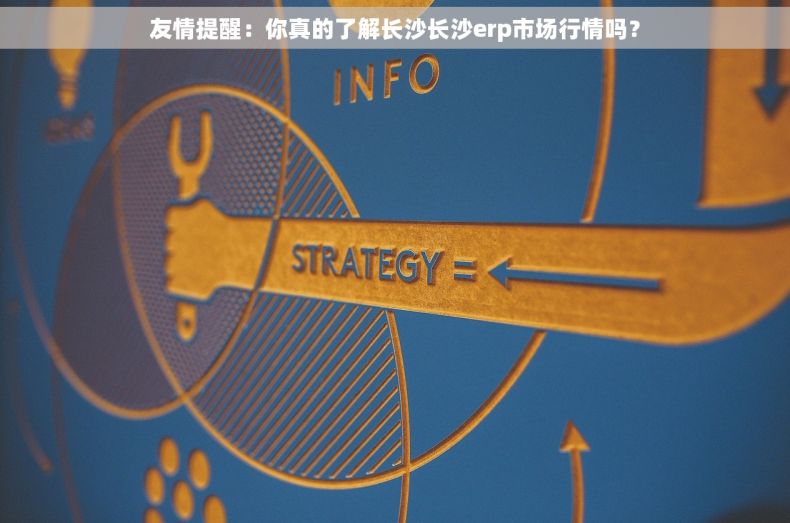 友情提醒：你真的了解长沙长沙erp市场行情吗？