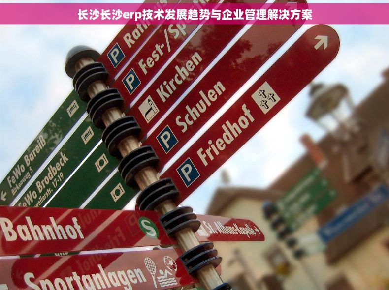 长沙长沙erp技术发展趋势与企业管理解决方案