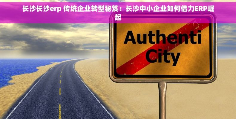 长沙长沙erp 传统企业转型秘笈：长沙中小企业如何借力ERP崛起