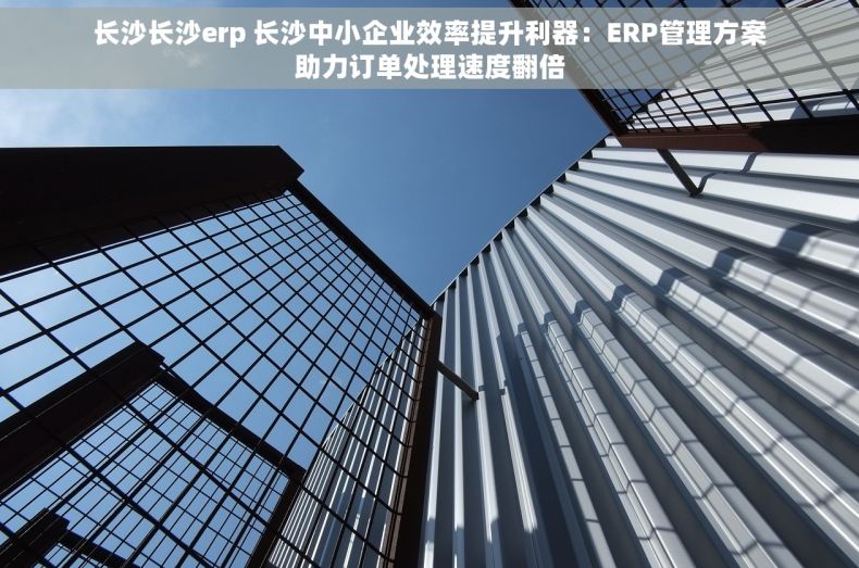 长沙长沙erp 长沙中小企业效率提升利器：ERP管理方案助力订单处理速度翻倍