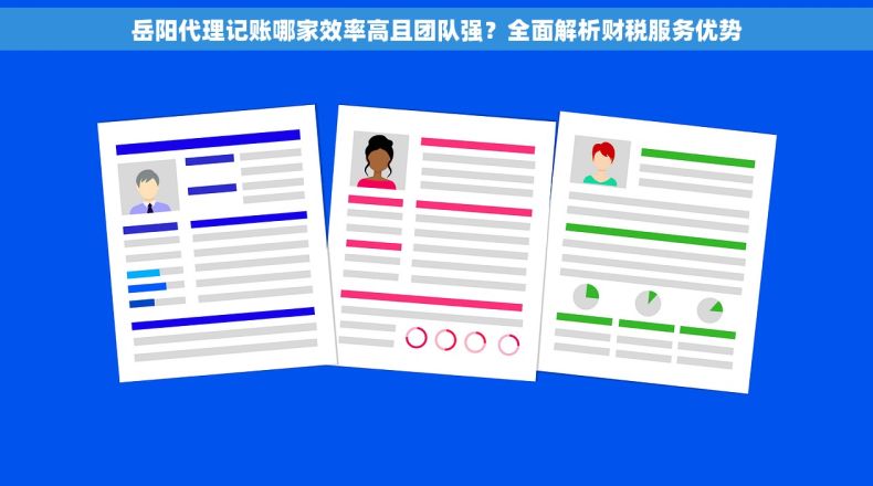 岳阳代理记账哪家效率高且团队强？全面解析财税服务优势
