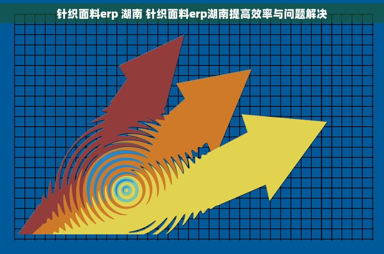 针织面料erp 湖南 针织面料erp湖南提高效率与问题解决