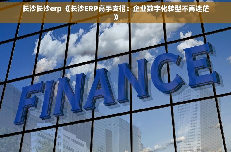 长沙长沙erp 《长沙ERP高手支招：企业数字化转型不再迷茫》
