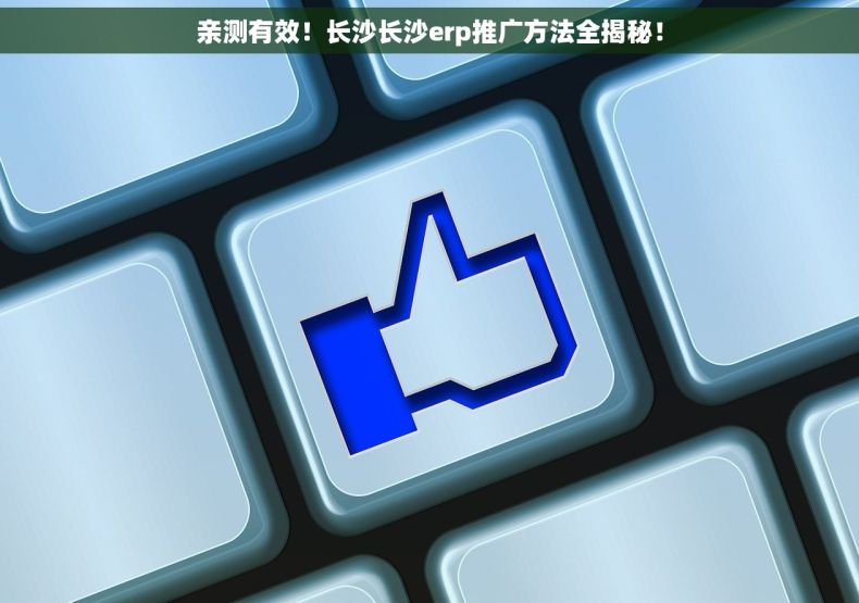 亲测有效！长沙长沙erp推广方法全揭秘！