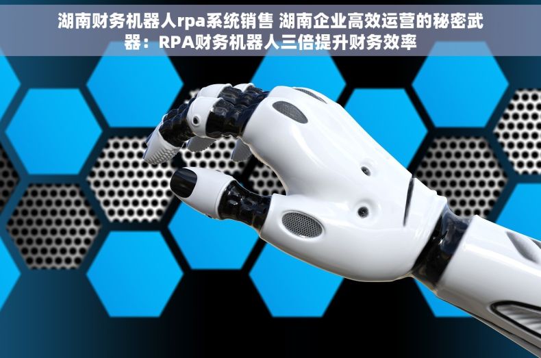 湖南财务机器人rpa系统销售 湖南企业高效运营的秘密武器：RPA财务机器人三倍提升财务效率