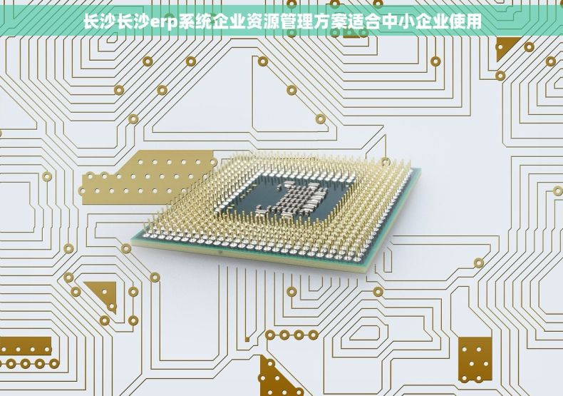 长沙长沙erp系统企业资源管理方案适合中小企业使用
