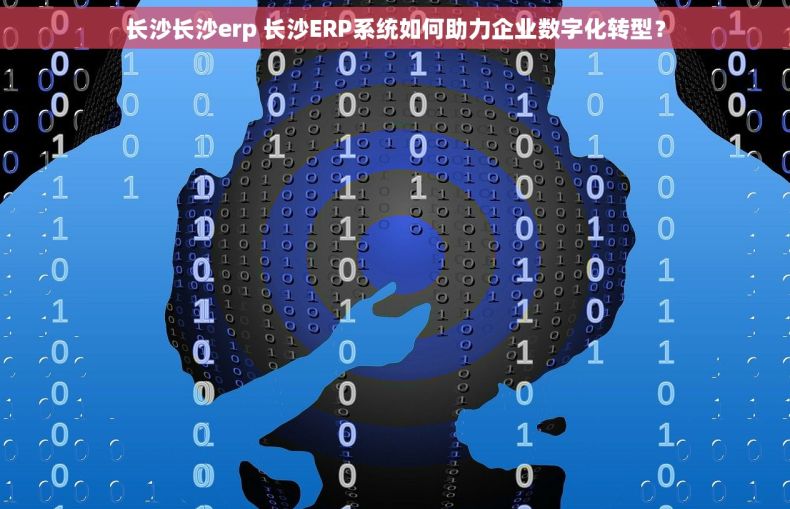 长沙长沙erp 长沙ERP系统如何助力企业数字化转型？