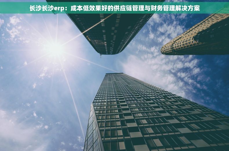 长沙长沙erp：成本低效果好的供应链管理与财务管理解决方案