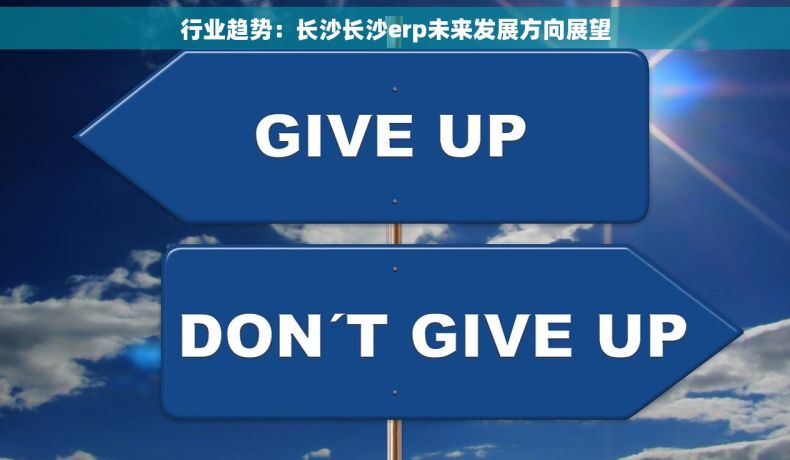 行业趋势：长沙长沙erp未来发展方向展望