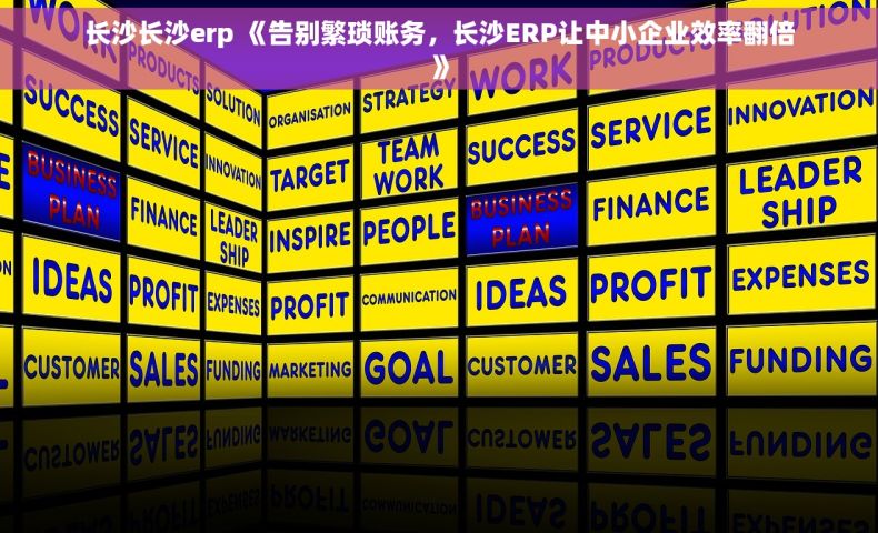 长沙长沙erp 《告别繁琐账务，长沙ERP让中小企业效率翻倍》