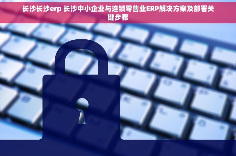 长沙长沙erp 长沙中小企业与连锁零售业ERP解决方案及部署关键步骤