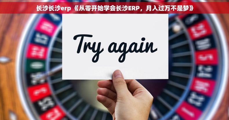 长沙长沙erp 《从零开始学会长沙ERP，月入过万不是梦》
