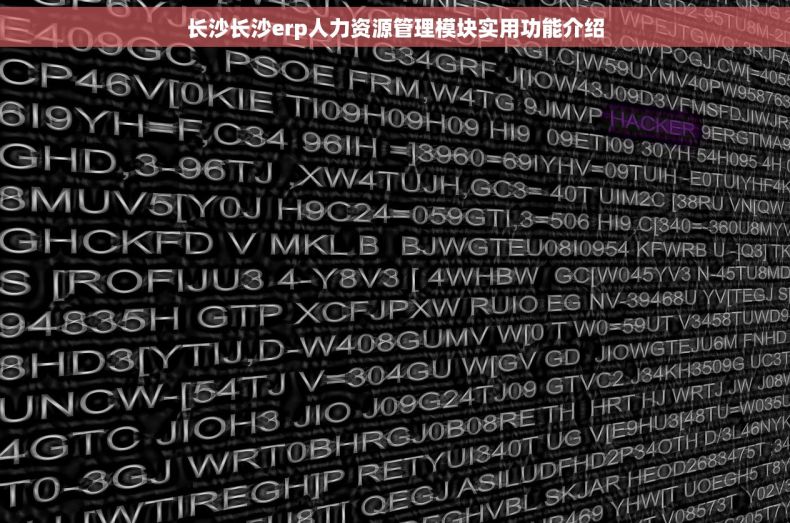 长沙长沙erp人力资源管理模块实用功能介绍