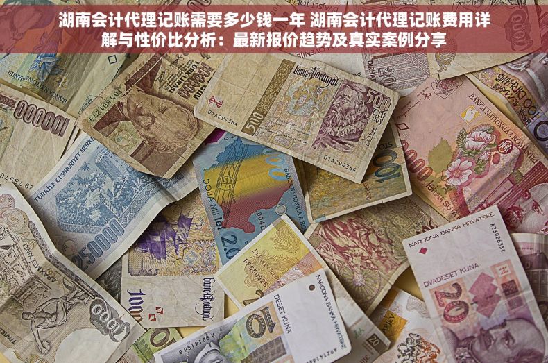 湖南会计代理记账需要多少钱一年 湖南会计代理记账费用详解与性价比分析：最新报价趋势及真实案例分享