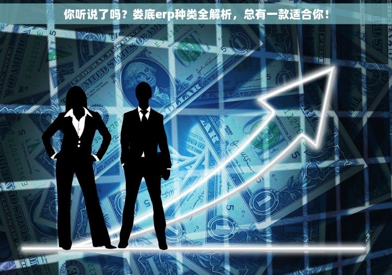 你听说了吗？娄底erp种类全解析，总有一款适合你！