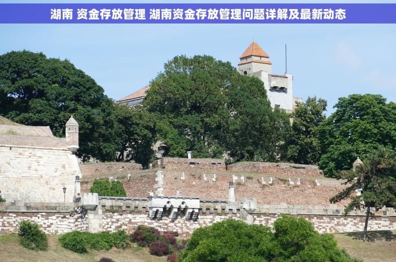 湖南 资金存放管理 湖南资金存放管理问题详解及最新动态
