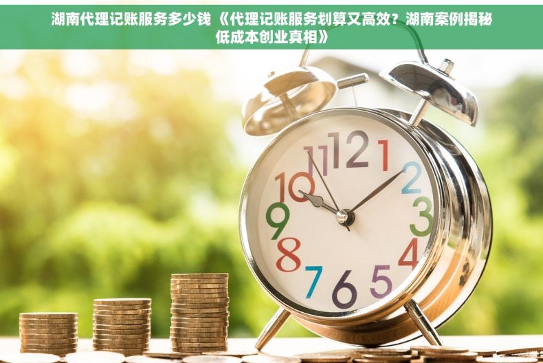 湖南代理记账服务多少钱 《代理记账服务划算又高效？湖南案例揭秘低成本创业真相》