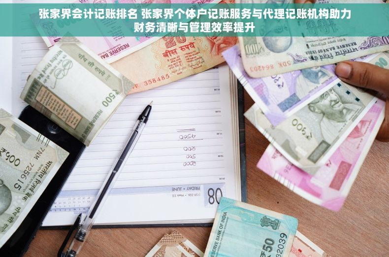 张家界会计记账排名 张家界个体户记账服务与代理记账机构助力财务清晰与管理效率提升