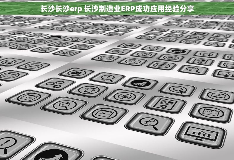 长沙长沙erp 长沙制造业ERP成功应用经验分享