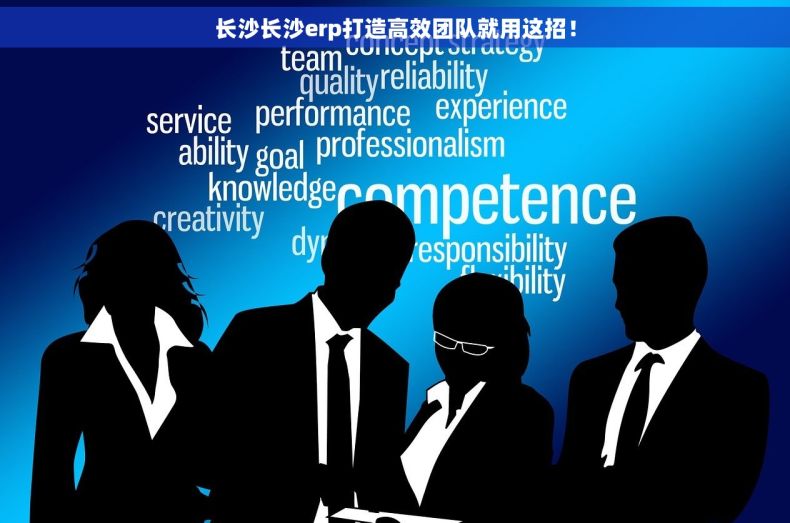 长沙长沙erp打造高效团队就用这招！