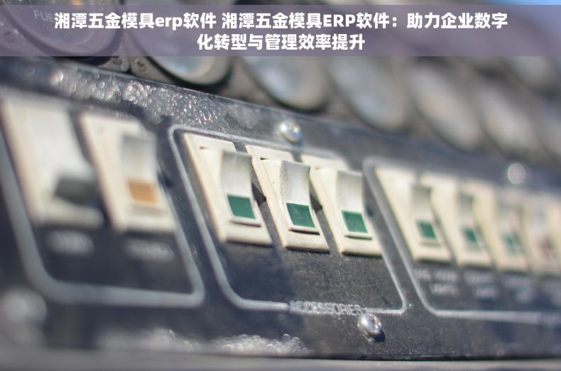 湘潭五金模具erp软件 湘潭五金模具ERP软件：助力企业数字化转型与管理效率提升